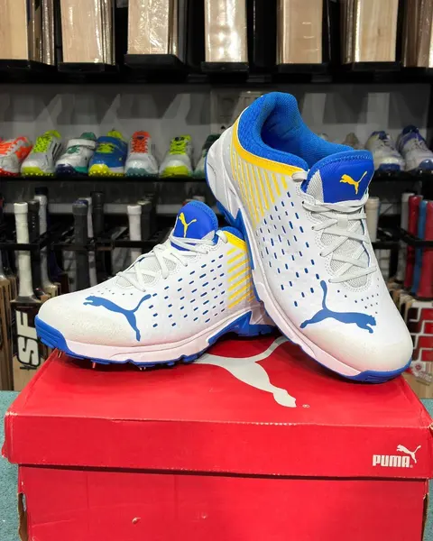 PUMA 22.1 Spikes