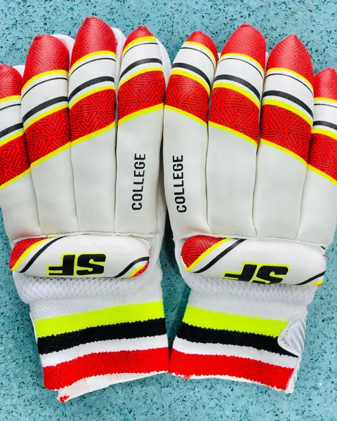 SF College Batting Gloves
