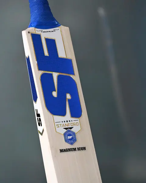 SF Magnum Icon English Willow Cricket Bat, photo 4