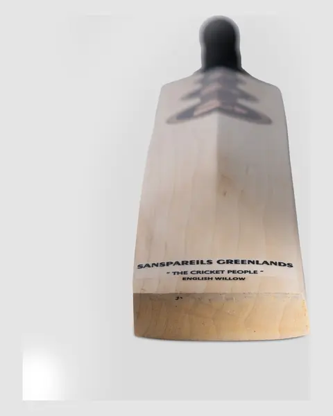 SG King Cobra Arc 4.0 English Willow Cricket Bat, photo 5