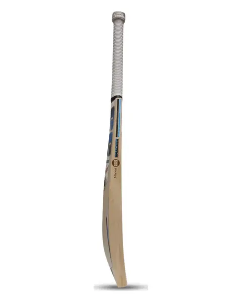SS GG Smacker Blaster English Willow Cricket Bat, photo 2